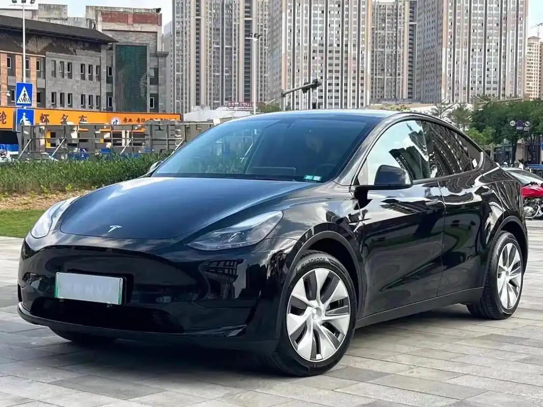 新鲜 特斯拉modely 2023年1月.再来一台,23年1 - 抖音
