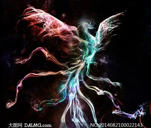 五彩缤纷的凤凰设计图片素材