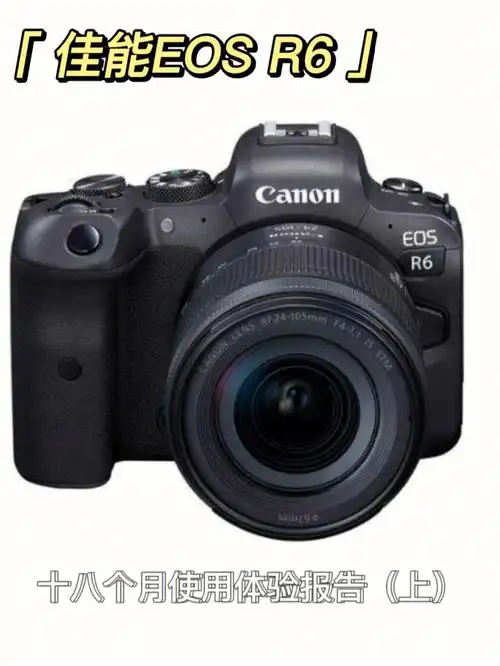 佳能eos r6| 十八个月使用体验报告(上)