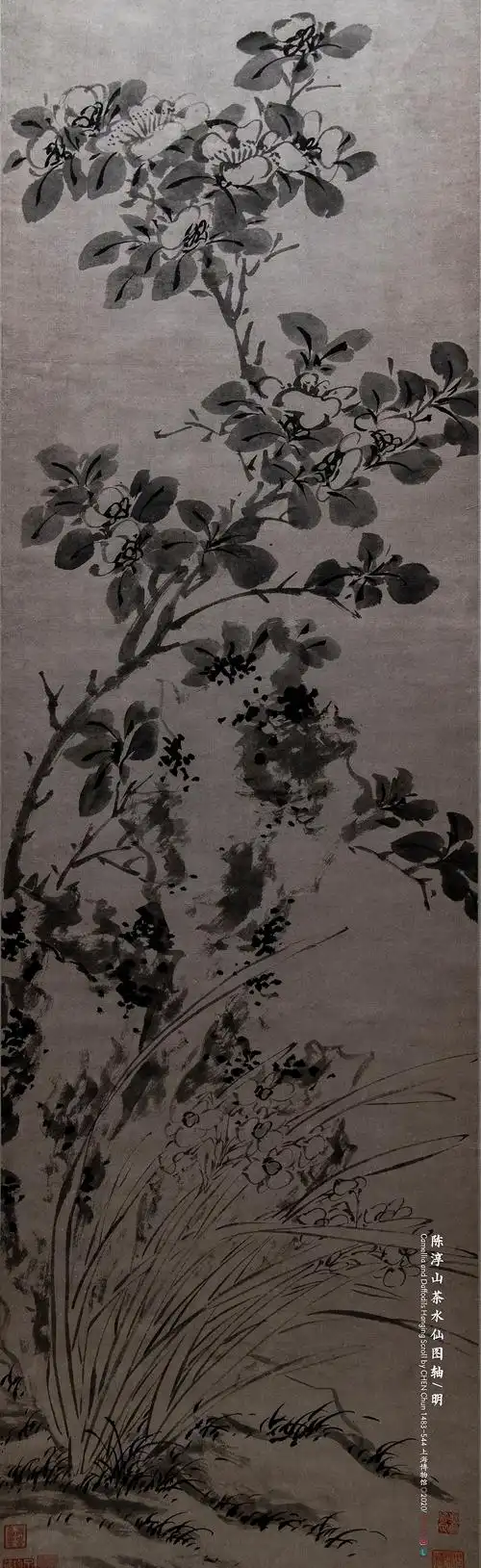 陈淳山茶水仙图轴