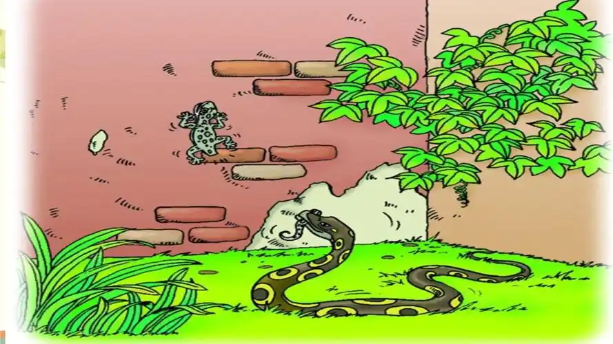 小学语文人教一年级下册课文小壁虎借尾巴 市一等奖_第3页