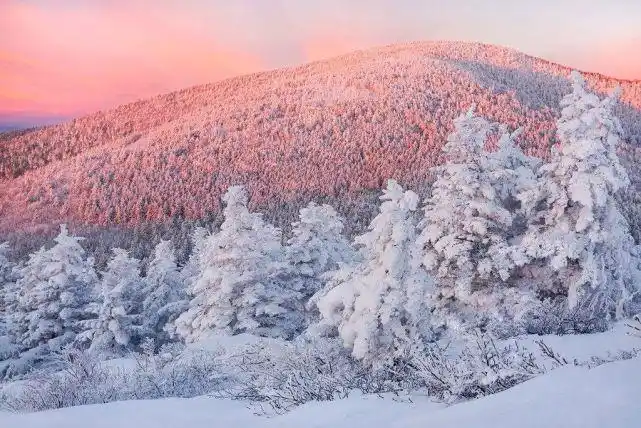 让世界安静一会,是雪的使命.100张最美的冰天雪地
