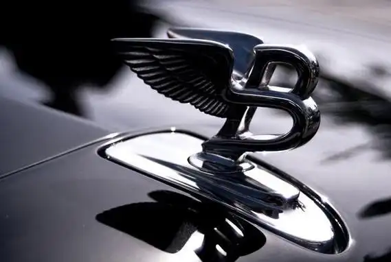 一个车标可以买一辆车