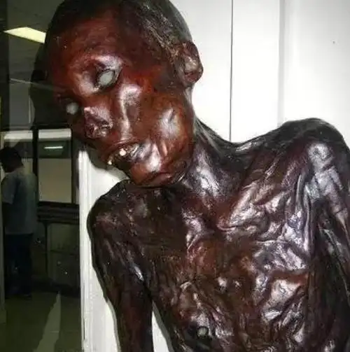 泰国细伟干尸存放在博物馆60年,平冤后火化(附图片)