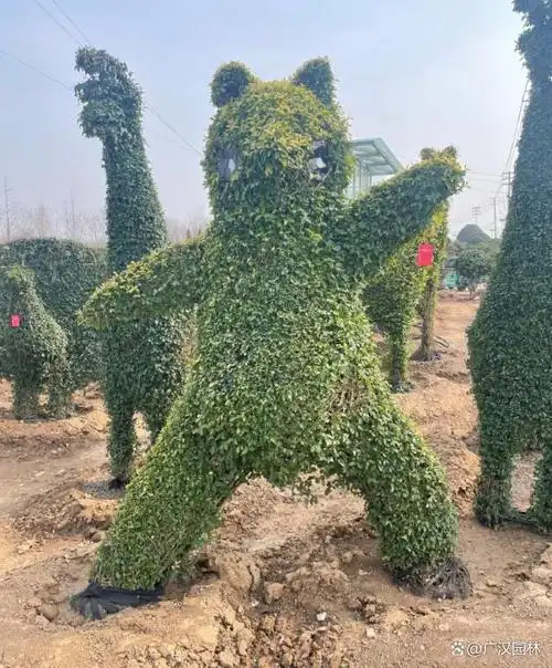 女贞造型景观树作为一种常见的园林景观,由于其形态秀美,人工造型性强