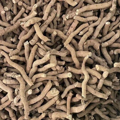 中药材 青木香 野生青木香 马兜铃根 土青木香 青藤香