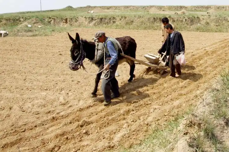 农耕图之四(播种)