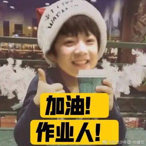 tnt时代少年团表情包