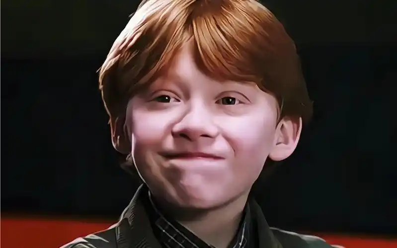 阳光 雏菊 甜奶油 罗恩【哈利波特】