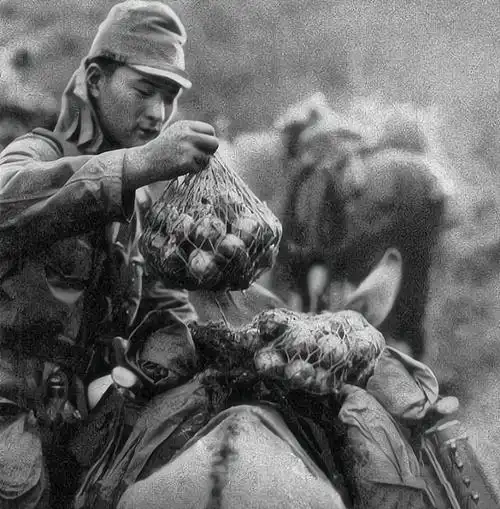 侵华罪证:41张老照片记录日军12天疯狂攻占我国多处,企图占领华北 –