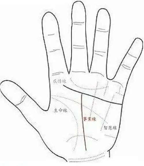 感情线中间末尾分叉