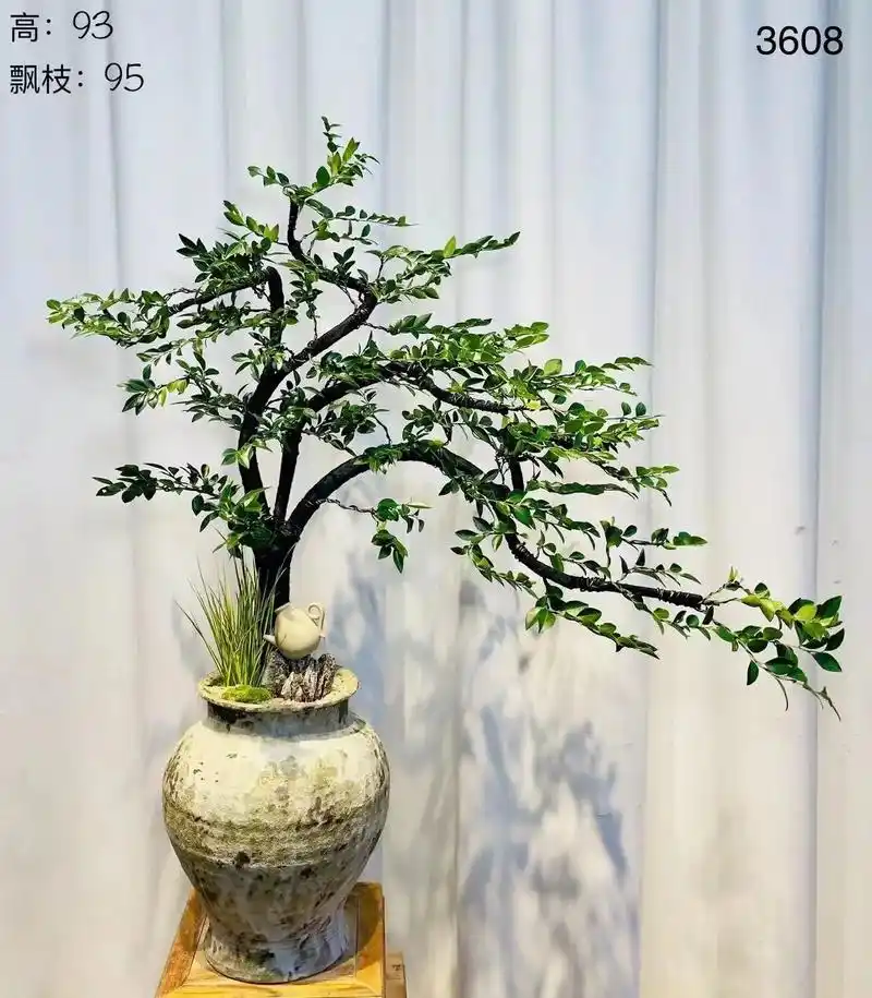 品种:#黑骨茶帝王之木黑骨茶,又称黑檀木.辟邪纳财,镇宅 - 抖音
