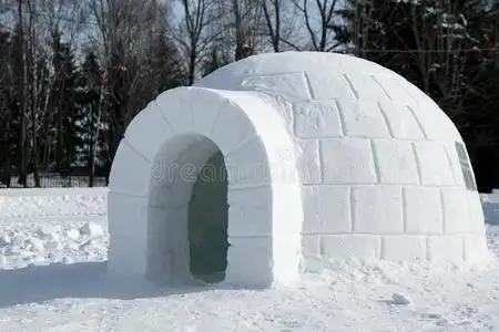 雪块砌成的圆顶小屋冰库,雪屋圆顶帐篷,爱斯基摩人居所build的过去式