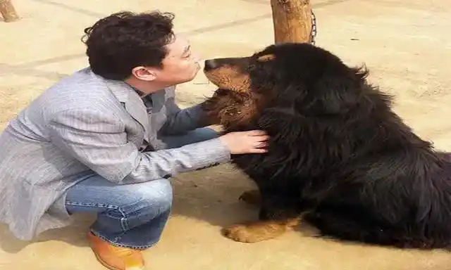 《于谦动物园》:玩是表象,享受生命才是内涵