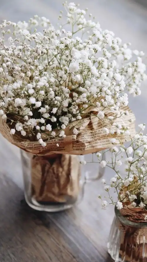 而且红花满天星的百科配的是萼距花的图片啊 花开的小纯属种类不同