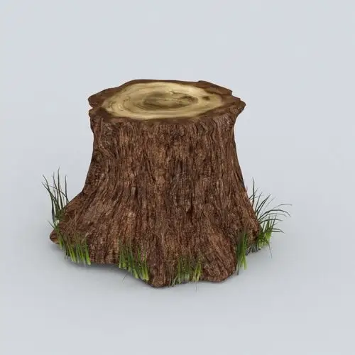 树桩