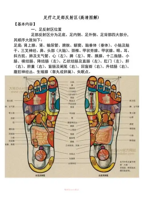 足疗方法及足部反射区配高清图_第1页