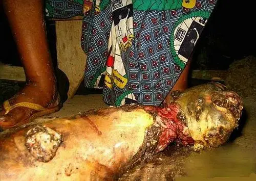 【恐怖盛宴】刚果人大锅炖猴子(组图)