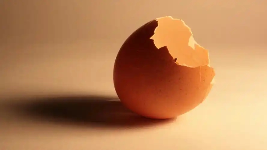破壳而出鸡蛋