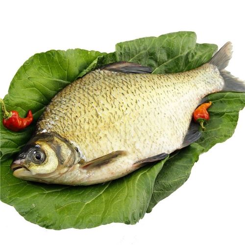 扁鱼大武昌鱼大扁鱼汈汊湖正宗野生大扁鱼清蒸红烧大武昌鱼.