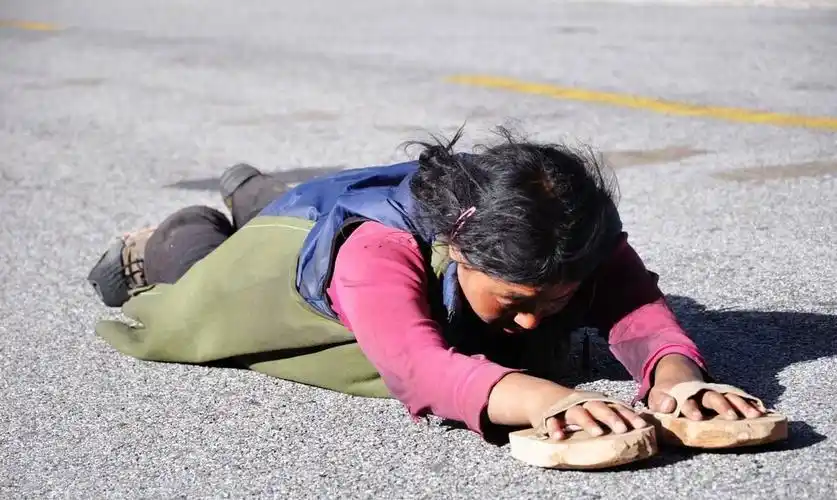 虔诚的朝圣者:磕长头近2500公里经拉萨到冈仁波齐转山的朝藏民_高清