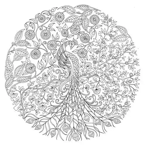 秘密花园第82页