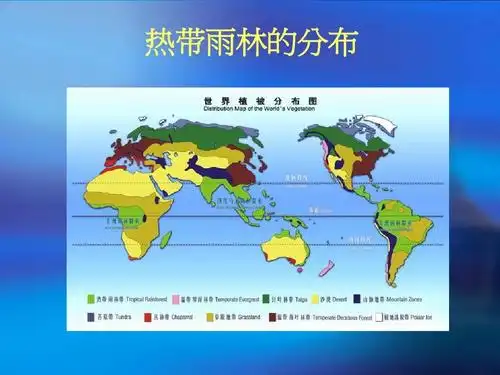 西双版纳热带雨林ppt