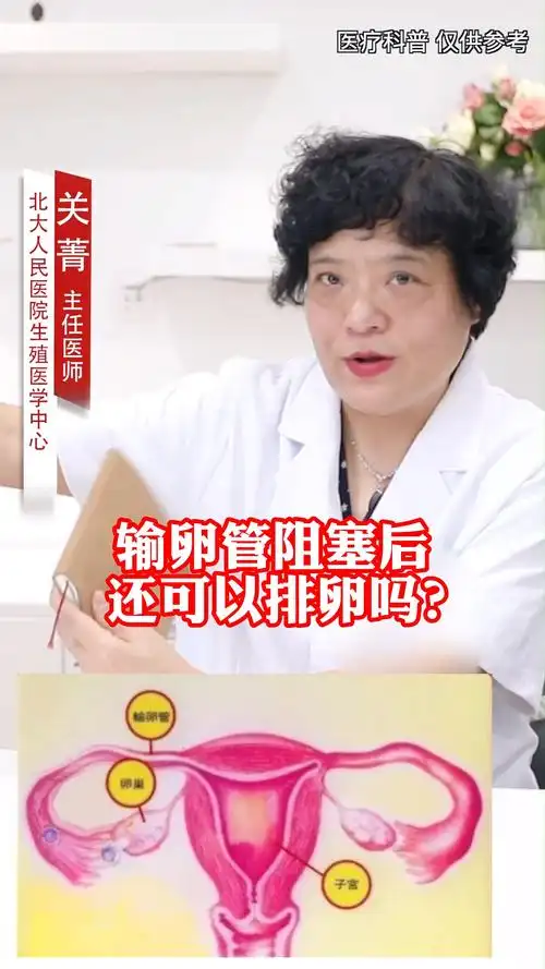 "输卵管堵塞和排卵没有关系,输卵管和卵巢是两个器官.