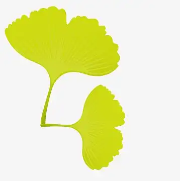 简约插画小叶子