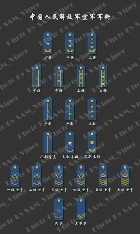 求军官级别标志,从小到司令!