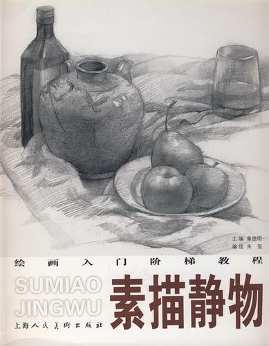 素描静物 绘画入门阶梯教程