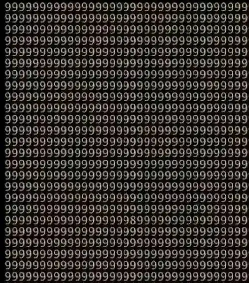 5. 青蛙还是骏马?