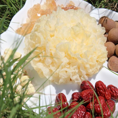 顺丰6朵和7朵新鲜银耳现摘新鲜银耳古田白木耳一件代发