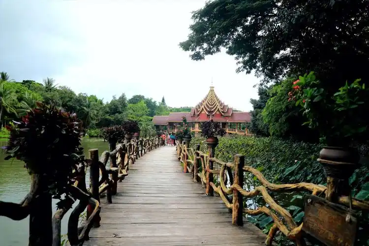 西双版纳美景连连