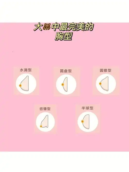 完美的胸型应该是圆盘型吧9696969696969696毕竟同样