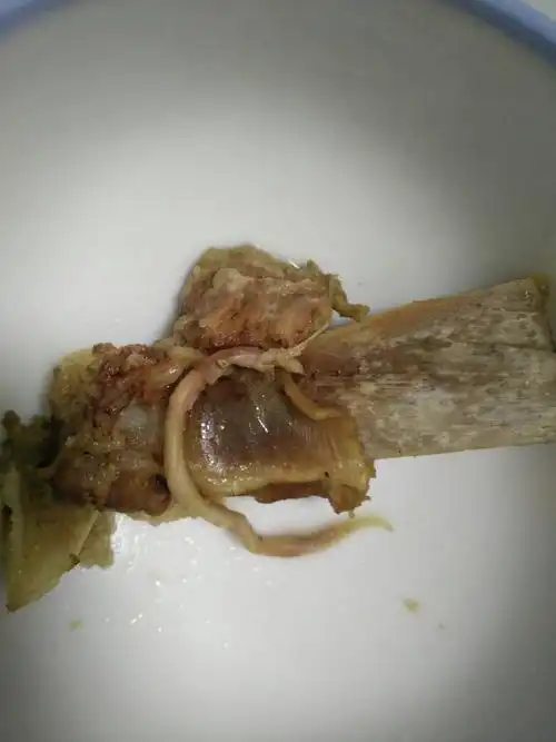 炖排骨汤两小时后出来一条四五厘米长的虫,一头像蚯蚓很尖,一头再肉里