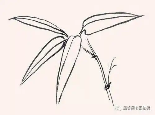 国画教程各种竹叶的画法,简单易学