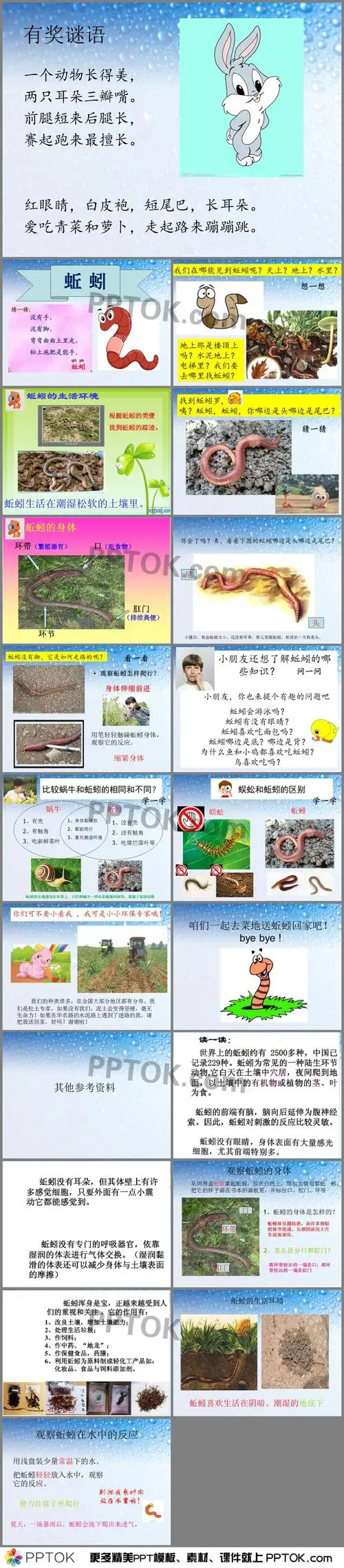 幼儿园科学活动蚯蚓ppt