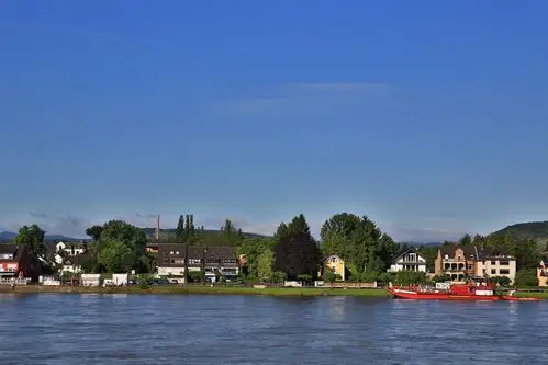 早上的莱茵河畔