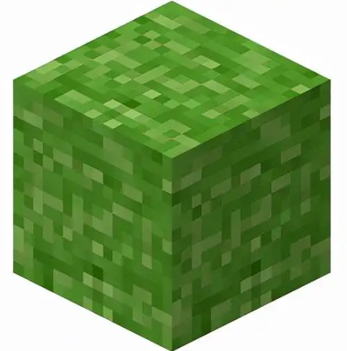 草方块是第一个被添加的"我的世界"中的方块之一.