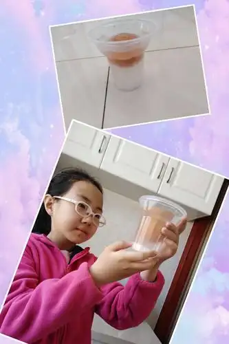 子长市秀延小学三年级六班实践课堂 ——— 一次有趣的科学小实验