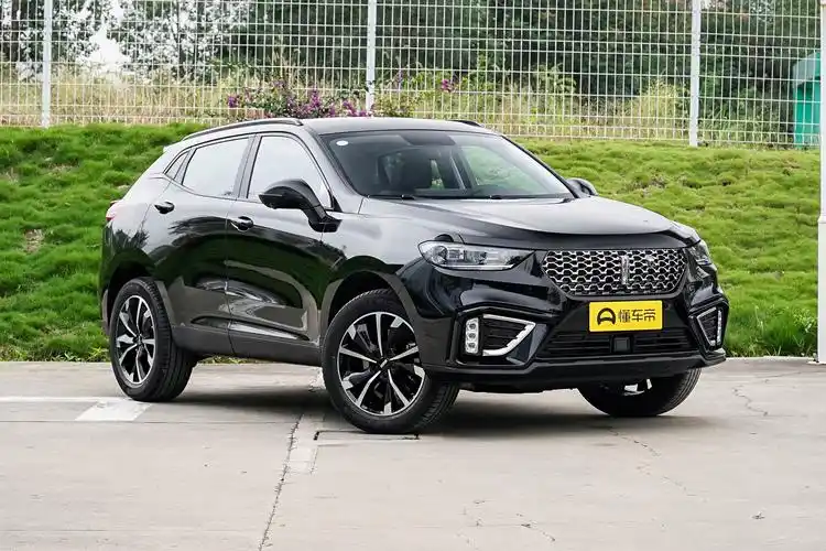 价格诱人的wey vv5到底能不能买?大数据告诉你