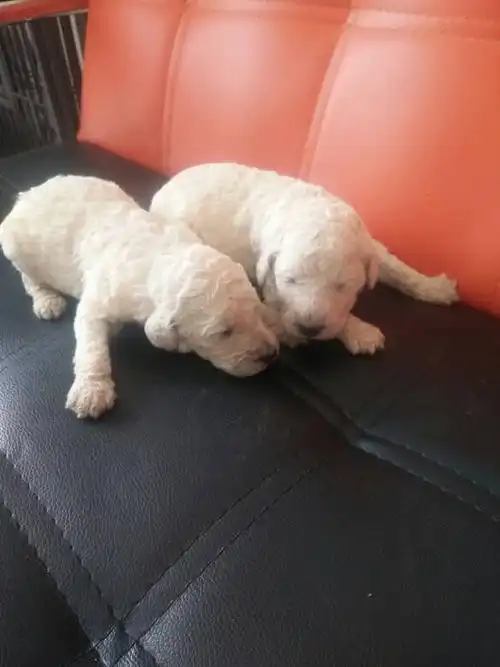 巨贵宝宝十天了,长的好快