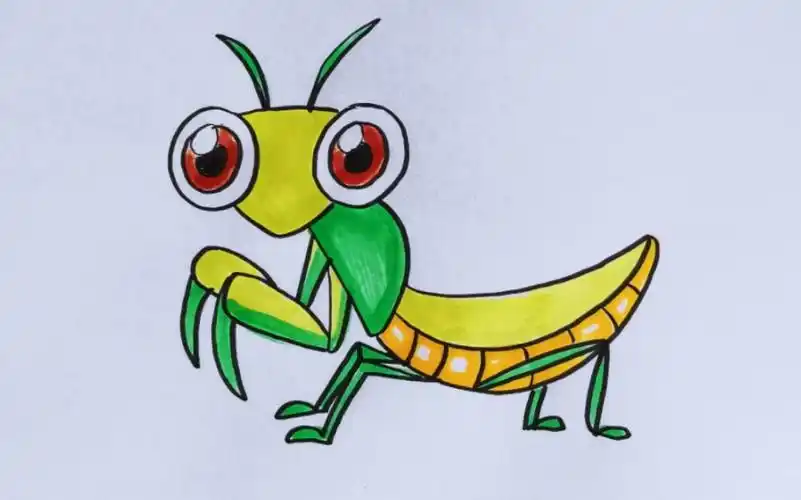 【简笔画】小螳螂