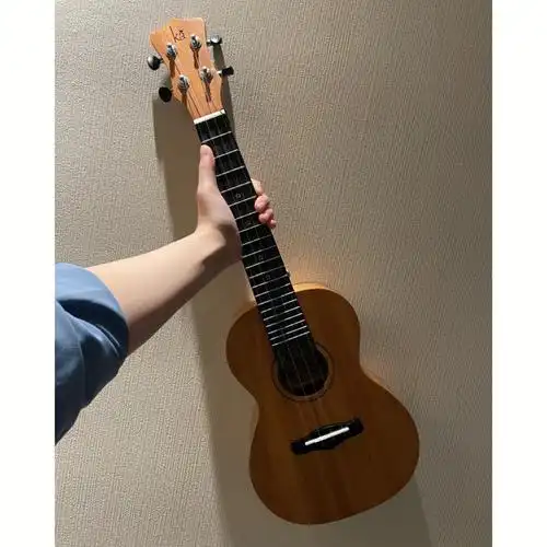 零基础,购入一把尤克里里选的是kaka25d,如果没有专业上需求,对于新手