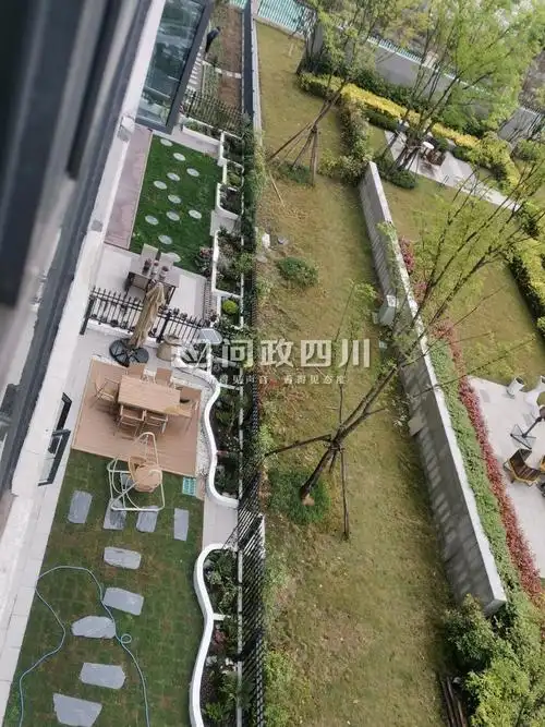 新都区桂湖正荣府6栋四户居民破坏绿化非法