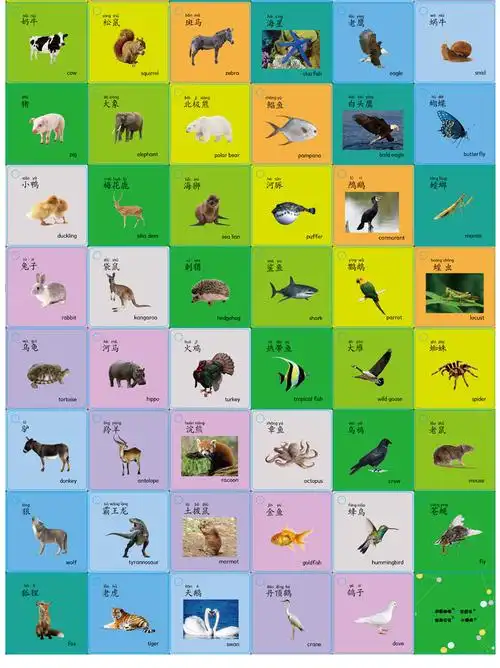 宝宝动物认知卡片儿童早教识字卡婴幼儿启蒙认图识图益智玩具全套人物