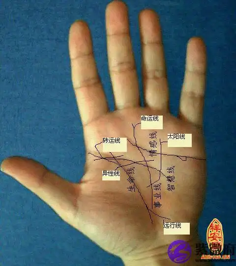 手相算命图解财运