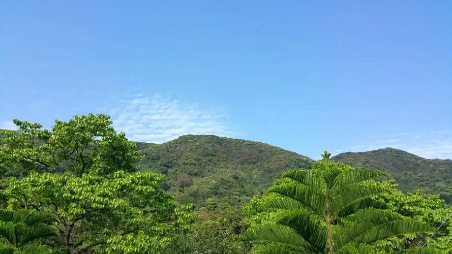 恶人谷(洞阳谷):树木茂密的山谷,果树遍野的山林,山泉潺潺的荒野,飞鸟