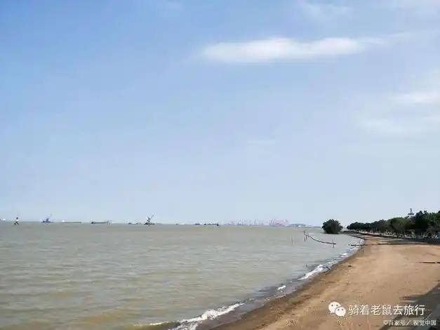 南汇新城海滩:探寻奇迹之滩,呵护自然共创未来|滨海|东海|公园|钱塘江